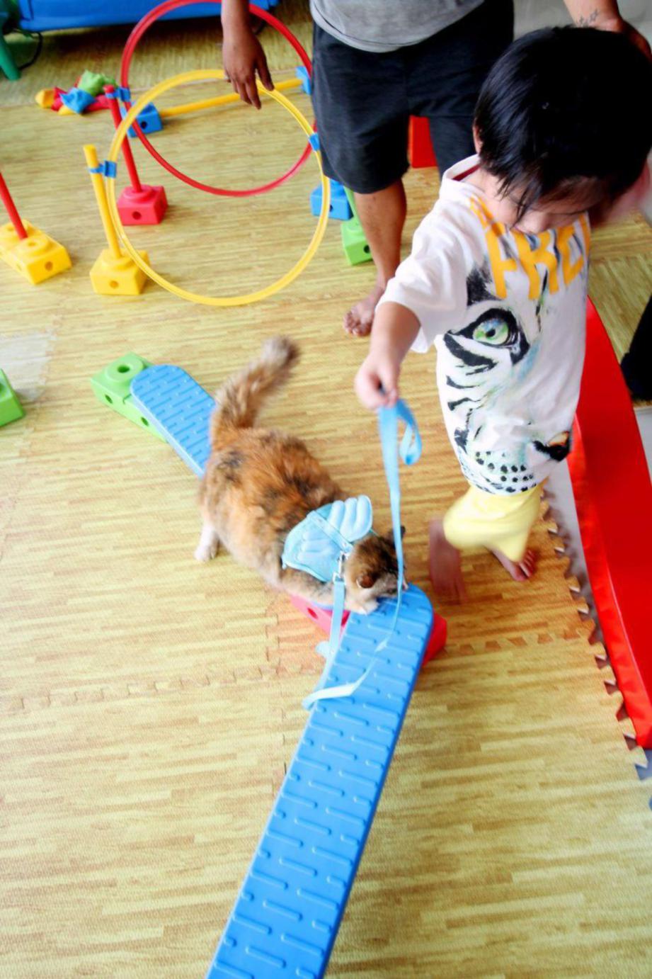 KEHADIRAN haiwan comel seperti kucing menjadikan pelajar lebih teruja dalam sesi terapi di Animals For Young.