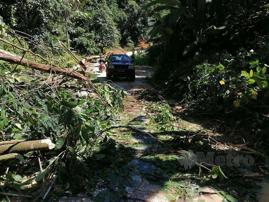 Jalan dan jambatan kayu reput ke Pos Tohoi rosak teruk dan terdedah risiko kejadian tidak diingini. FOTO RAMLI IBRAHIM