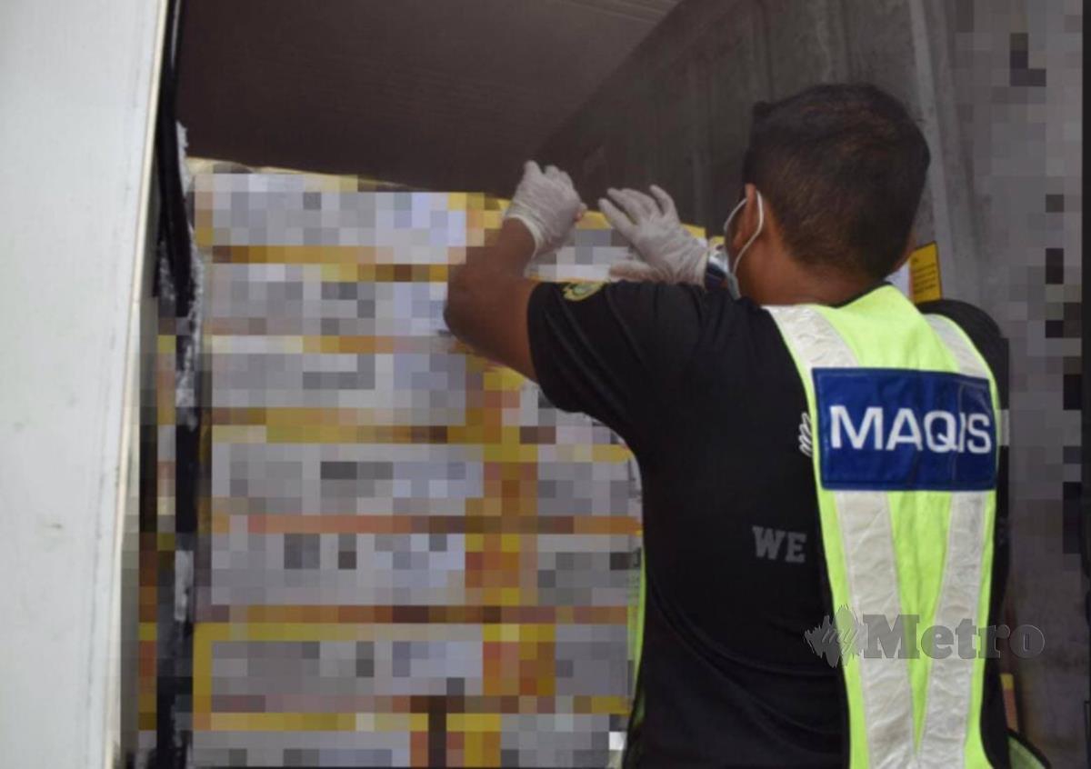 MAQIS Pulau Pinang merampas lebih 335 tan daging kerbau sejuk beku dari India yang didapati menggunakan logo halal mengelirukan. FOTO Ihsan MAQIS
