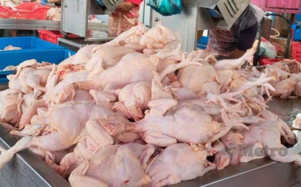 Harga ayam dilaporkan meningkat. FOTO ZULIATY ZULKIFFLI