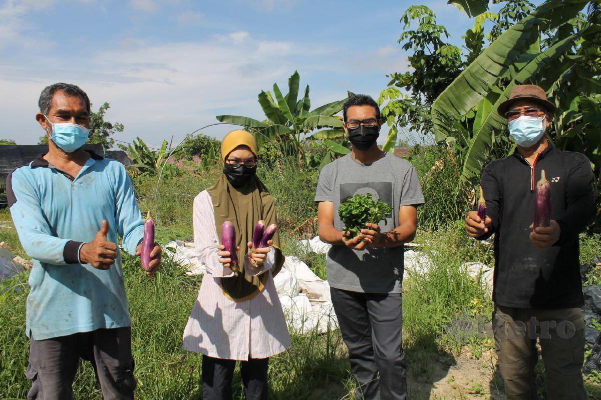 TURUT mengusahakan tanah terbiar dengan projek tanaman terung di Kampung Bukit Temiang, Seremban.