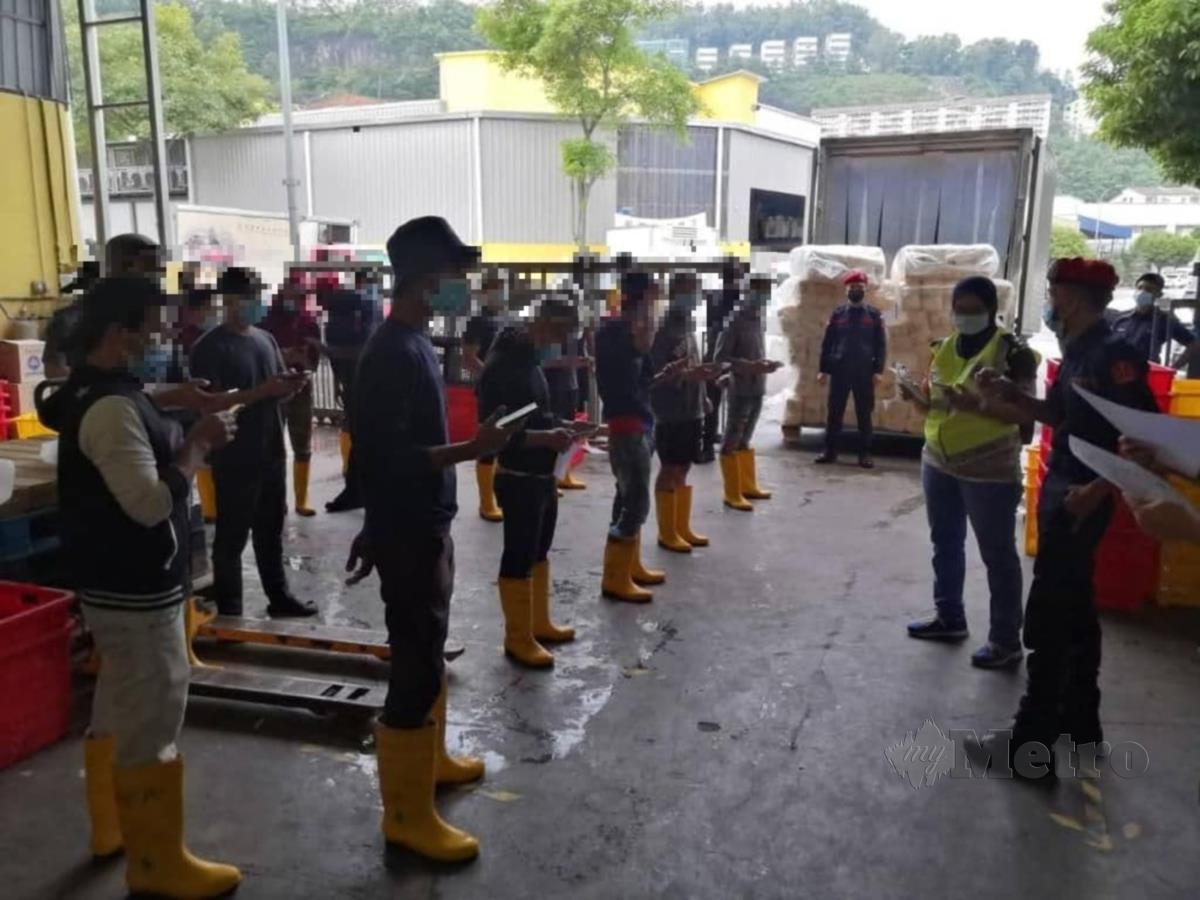POLIS melakukan pemeriksaan terhadap pekerja di sebuah kilang dalam Operasi Patuh. FOTO Ihsan Polis 