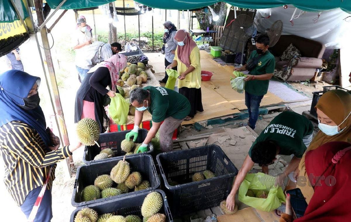 ORANG ramai membeli durian yang dilelong pada harga RM1 sekilogram di Kampung Ketil, Pengkalan Kubor. FOTO Nik Abdullah Nik Omar