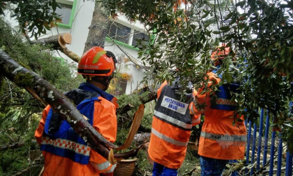 Anggota Angkatan Pertahanan Awam dan bomba bertungkus lumus membersihkan pokok yang menghempap sebuah rumah di Brinchang awal pagi tadi. FOTO Ihsan APM