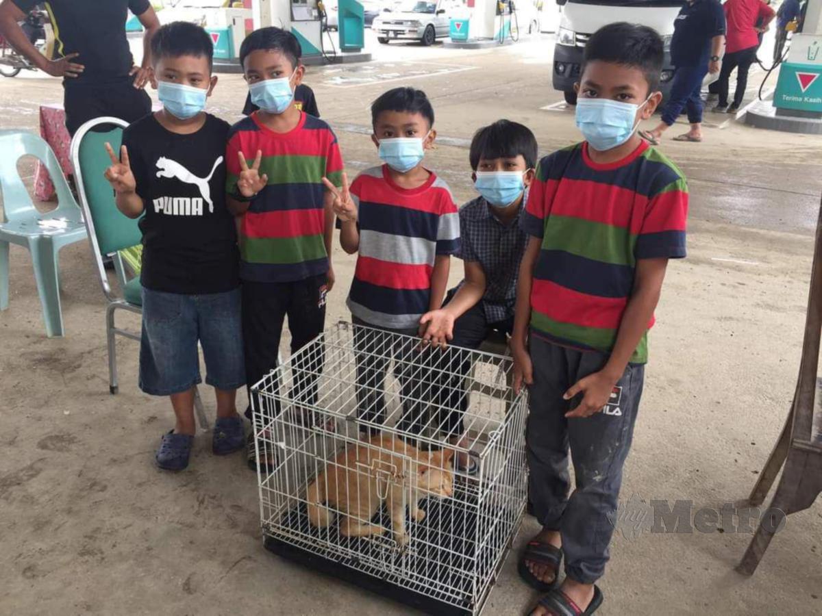 KANAK-kanak turut tampil membantu menghantar kucing mangsa banjir di Hulu Langat ke Klinik Veterinar Bergerak.