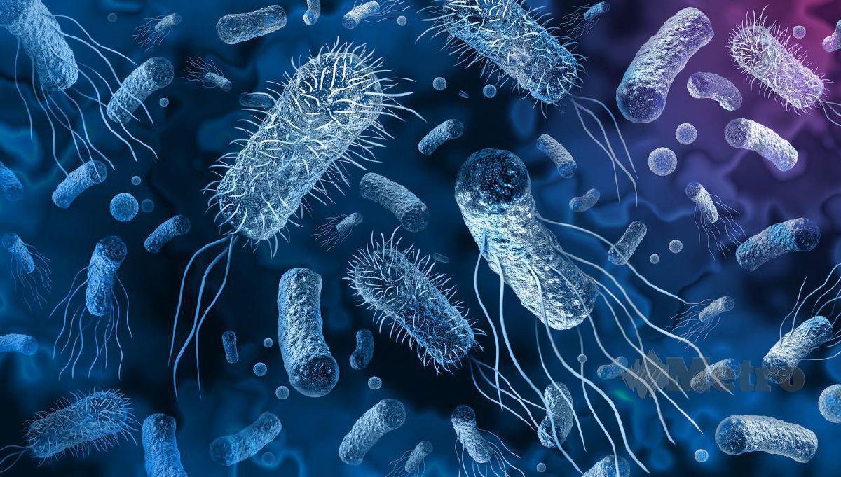 SUPERBUGS adalah istilah yang dicipta bagi menjelaskan jenis-jenis bakteria, parasit, virus dan kulat yang tahan pelbagai ubat (MDR).