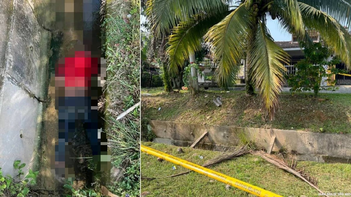 LELAKI Orang Asli ditemukan maut di dalam longkang dipercayai terjatuh ketika memanjat pokok kelapa di Jalan Benus, Bentong, FOTO Ihsan PDRM