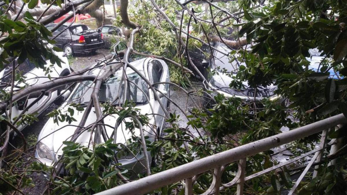 POKOK tumbang yang menghempap kenderaan di Taman Kinrara, Puchong, hari ini. FOTO Ihsan Bomba 
