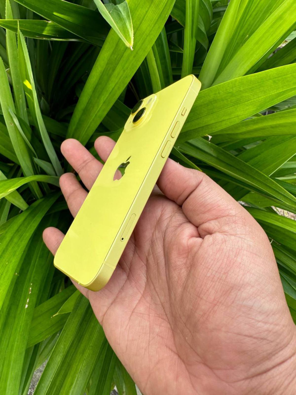 KEMASAN bingkai untuk iPhone ini juga turut menggunakan warna kuning sesuai dengan warna asas peranti ini.