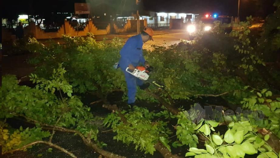 Angkatan Pertahanan Awam Malaysia (APM) Daerah Kuala Muda menjalankan kerja memotong pokok tumbang di sekitar daerah itu berikutan kejadian ribut semalam. FOTO Ihsan APM 