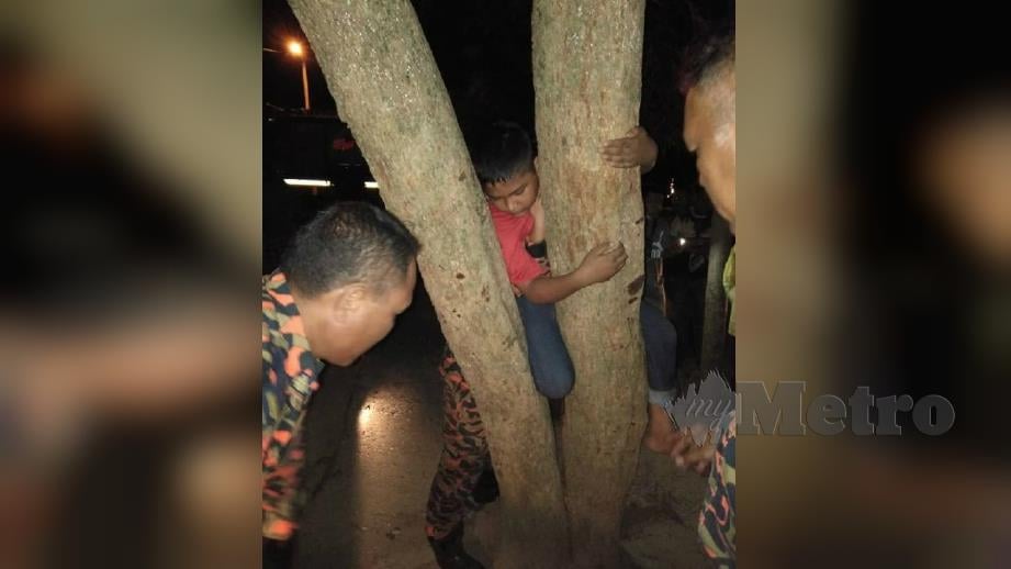 ANGGOTA bomba membantu mengeluarkan kaki kanan kanak-kanak lelaki yang tersangkut pada pokok. FOTO Ihsan Bomba. 
