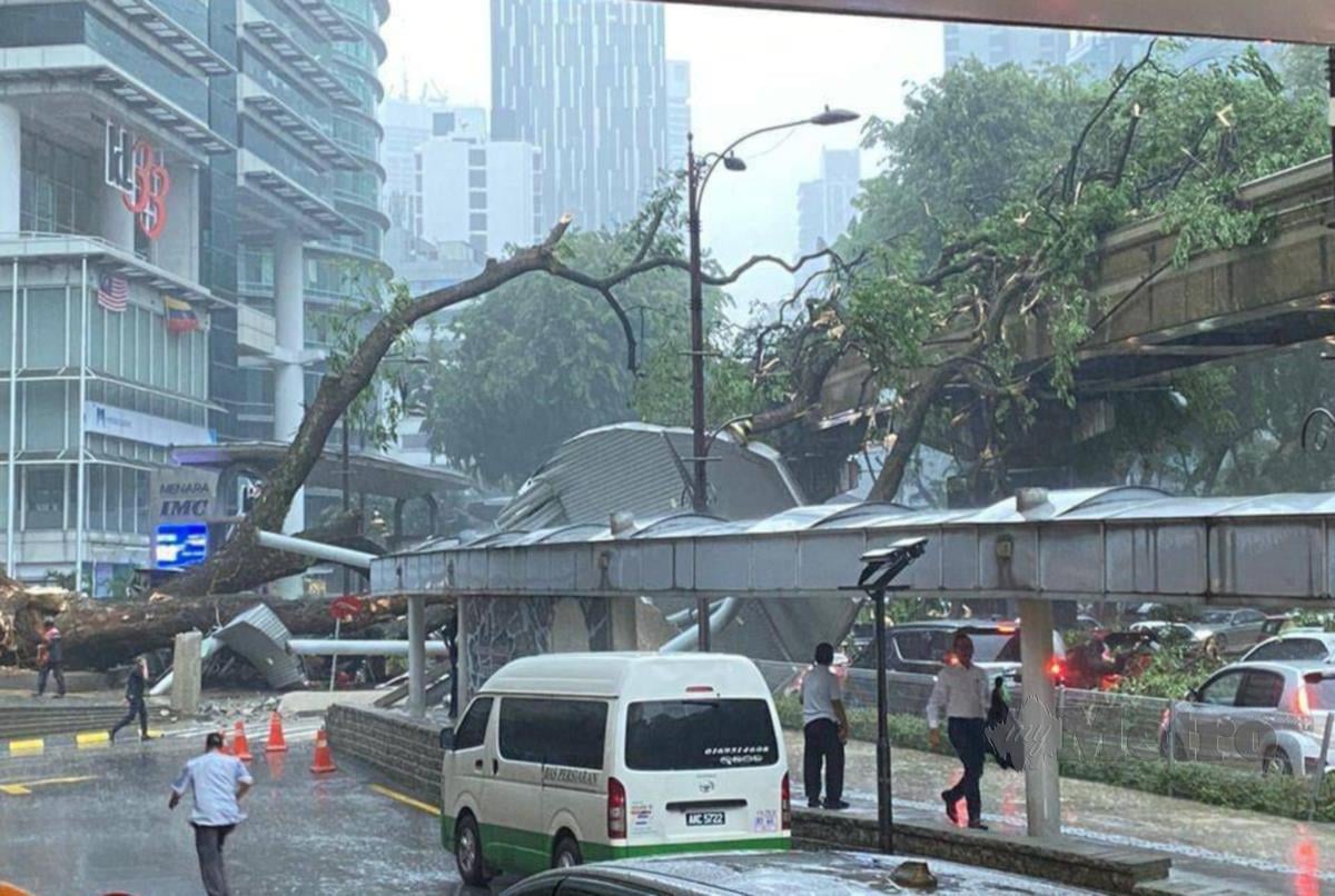 Pokok tumbang mengakibatkan laluan ditutup sementara di Jalan Sultan Ismail, hari ini. FOTO Ihsan KLCCC DBKL
