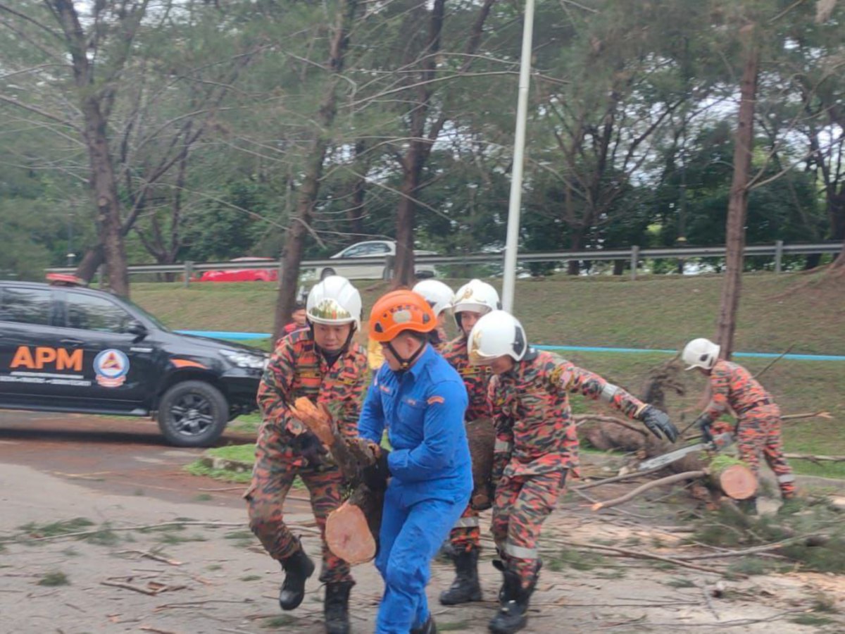 Operasi membersihkan pokok tumbang akibat angin kencang di sekitar Kota Kinabalu. Foto Ihsan JBPM
