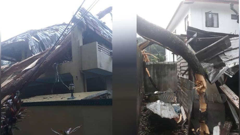 POKOK tumbang yang menghempap rumah di Kampung Tasik Permai, Ampang, hari ini. FOTO ihsan bomba dan APM.