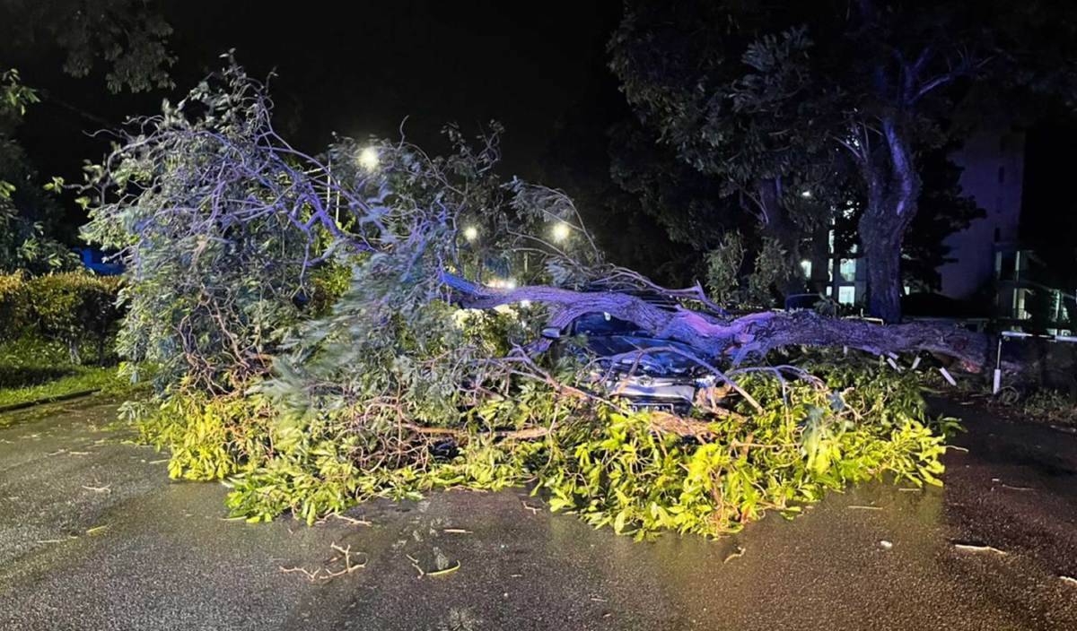 KEADAAN pokok tumbang dan menghempap sebuah kereta di Kilometer 3.6, Jalan Pantai, berhampiran sebuah hotel. FOTO Ihsan PDRM