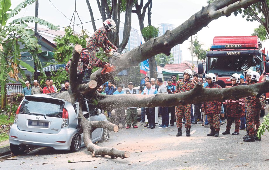  ANGGOTA bomba   memotong pokok  tumbang yang  menimpa  kenderaan  ketika ribut  berhadapan Pangsapuri Sri Astana, semalam.