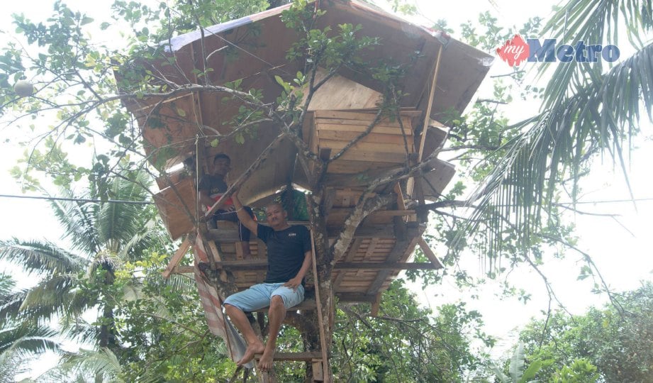 IMRAN menunjukkan pondok yang dibina atas pokok limau. FOTO Sabaruddin Abd Ghani