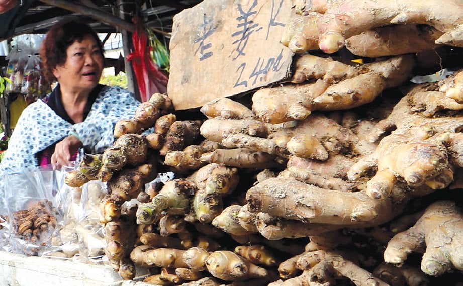 SEORANG peniaga di Bukit Tinggi menjual halia Bentong sekitar RM20 hingga RM24 sekilogram.