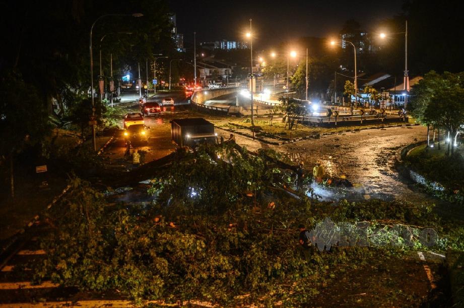 POKOK tumbang di sekitar Pulau Pinang akibat ribut. FOTO Shahnaz Fazlie Shahrizal.