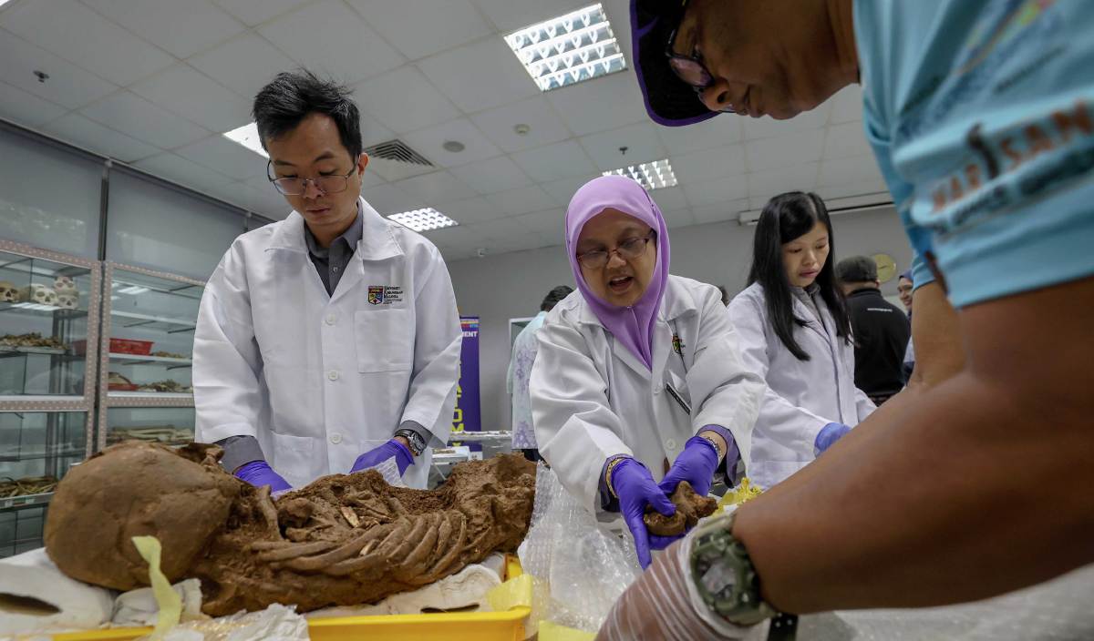 DR Elvy Suhana menyusun tulang rangka yang ditemui di Gua Keledung Kecil. FOTO BERNAMA