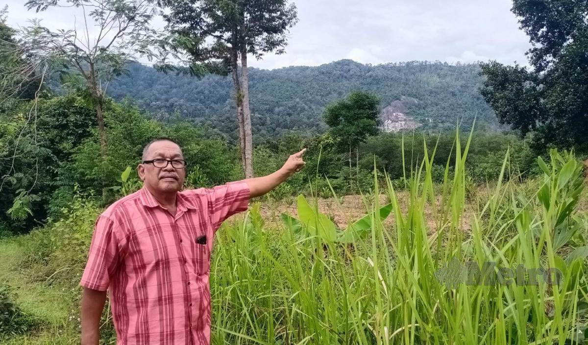 Penduduk Sik Teruja Penemuan Ree Di Bukit Enggang