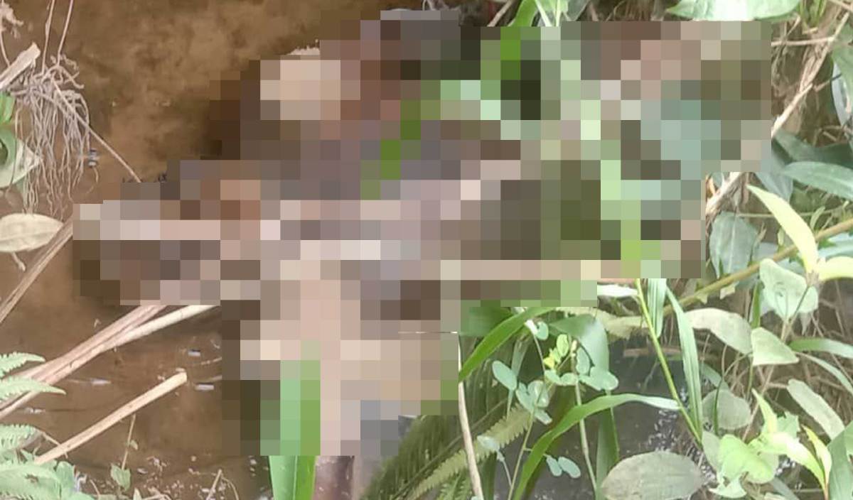 MAYAT lelaki reput ditemui dalam parit di Kampung Air Asahan, Batu Gajah. FOTO Ihsan pembaca