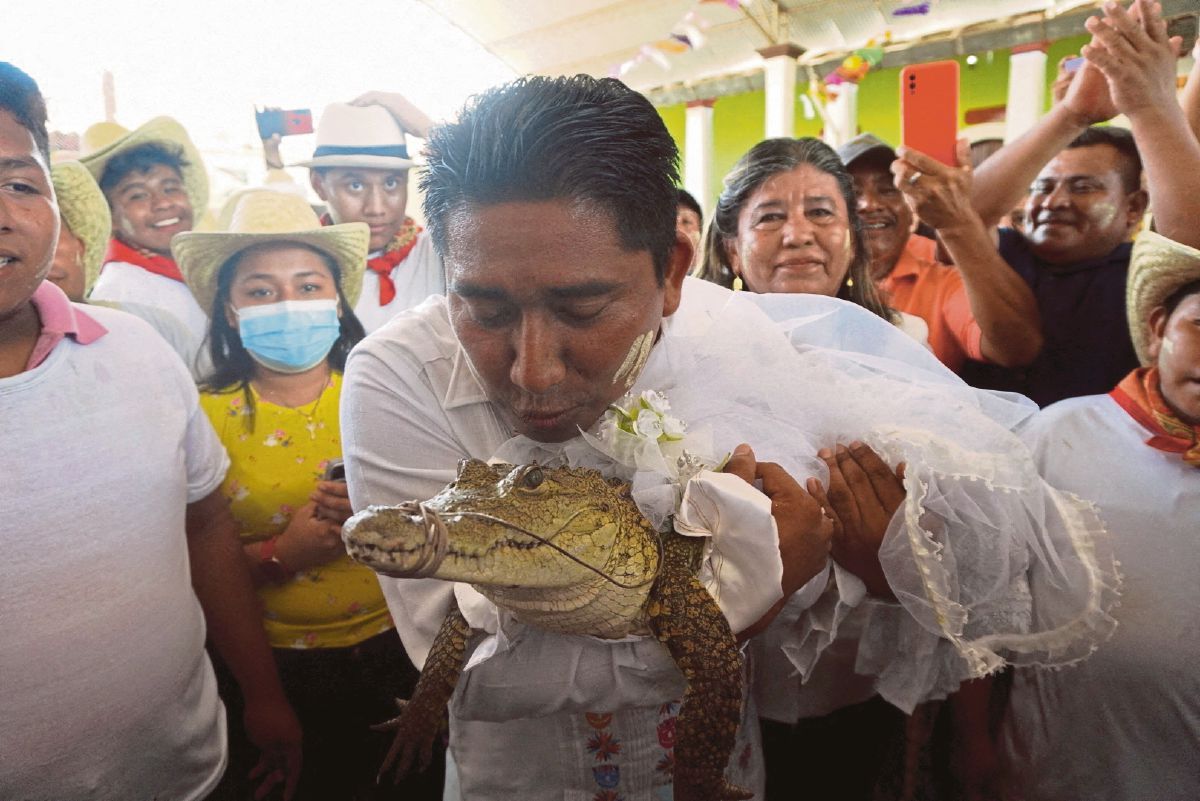 HUGO Sosa mencium aligator yang dipakaikan baju putih pada majlis ‘perkahwinan’ mereka. foto Reuters 