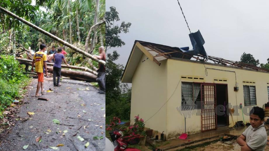Pokok tumbang merintangi jalan dan (gambar kanan) sebuah rumah rosak selepas bumbungnya diterbangkan dalam kejadian ribut di sekitar Baling semalam. Foto Ihsan JKM