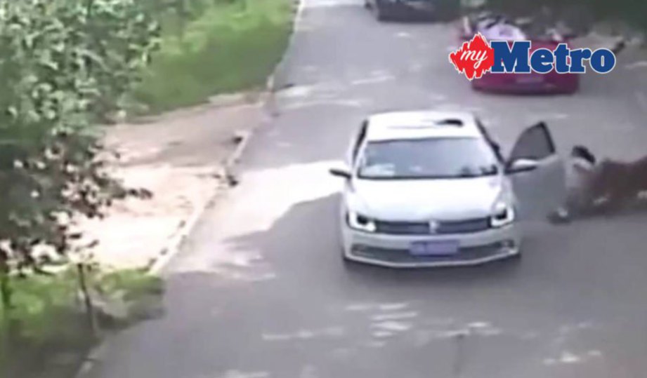 RAKAMAN CCTV seorang wanita dibaham harimau. FOTO Youtube.