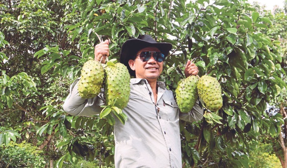 ROSYAM menunjukkan durian belanda yang dihasilkannya.