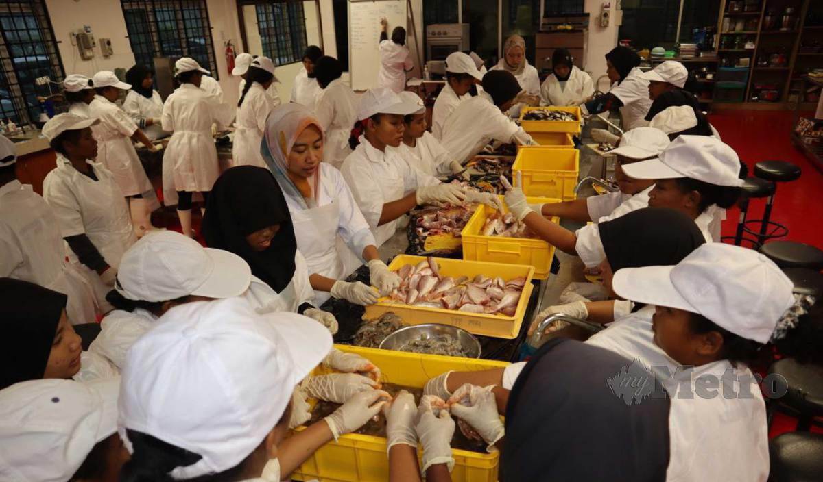 PELAJAR SMK Sultan Idris Shah II, Gerik bersama guru pengiring menyiang pelbagai jenis ikan dan udang bagi penghasilan surimi dan otoshimi. FOTO Muhamad Lokman Khairi