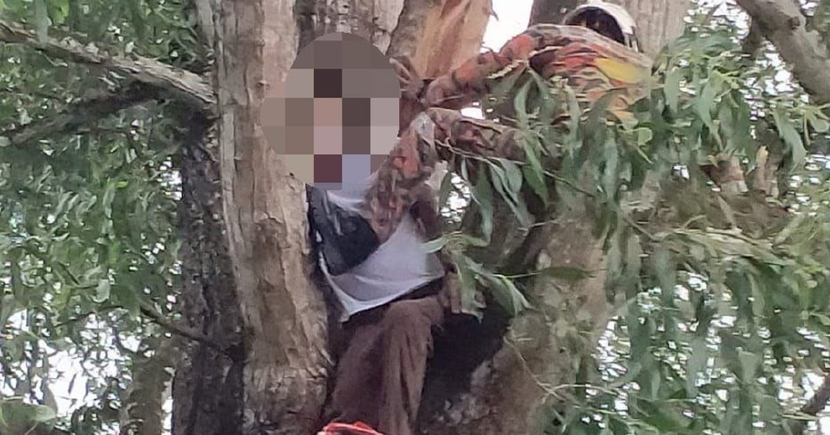 Lelaki tersangkut atas pokok selepas cedera ditimpa dahan dipotong