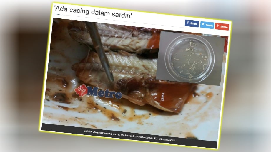 Update 6 Lagi Jenama Sardin Ada Cacing