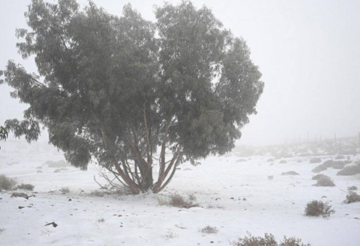 Keadaan di kawasan pergunungan Al-Lawz yang dilitupi salji. - FOTO Agensi