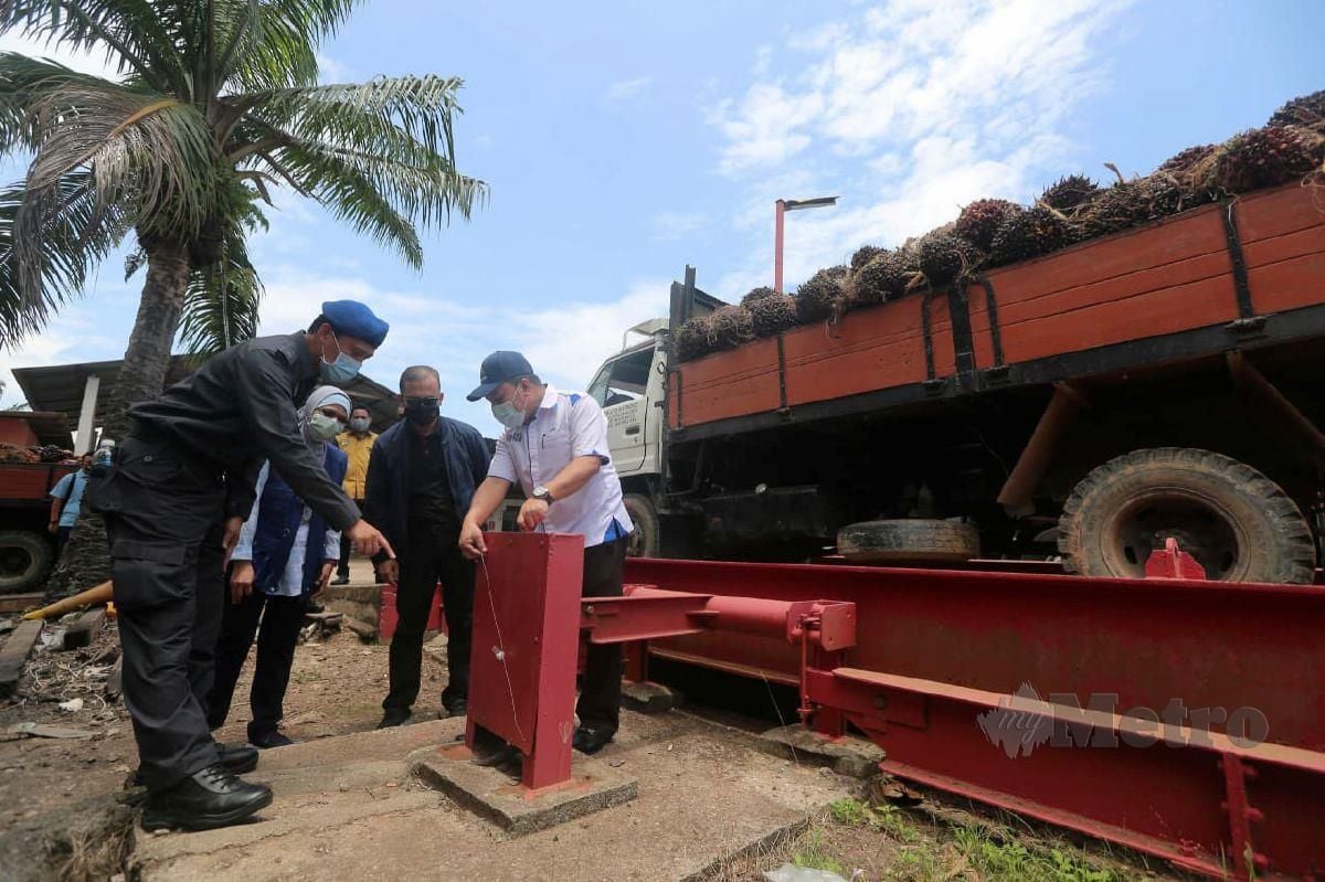 Muhamad Zikril (baju putih) memeriksa penimbang buah sawit ketika operasi Timbang Sawit oleh KPDNHEP Negeri Selangor di Gudang Timbang Buah Sawit, Kampung Sungai Yu, Kuala Selangor. FOTO MUHD ASYRAF SAWAL