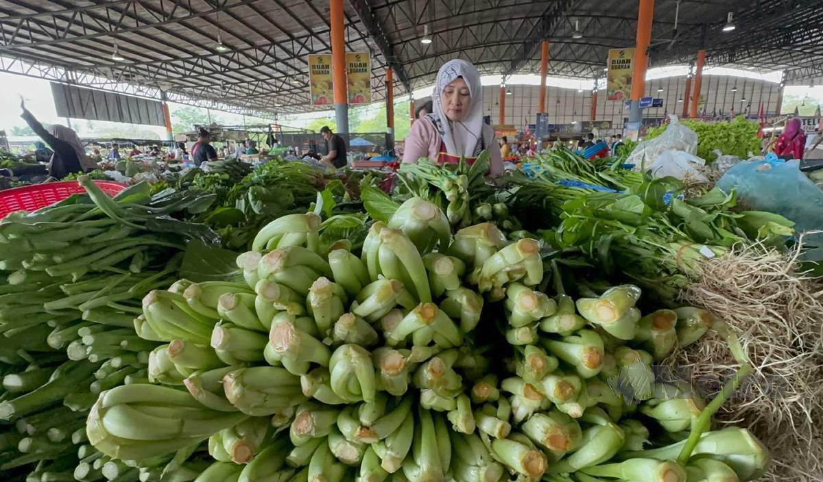 TINJAUAN di Pasar Besar Siti Khadijah dan RTC Tunjong mendapati beberapa jenis sayur naik seperti sawi. FOTO Nik Abdullah Nik Omar
