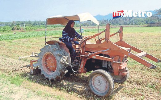 ANA Salwa membantu pekerjanya membajak tanah.