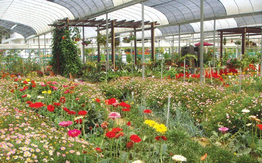 KEPELBAGAIAN bunga-bungaan tumbuh subur di Taman Agroteknologi MARDI.