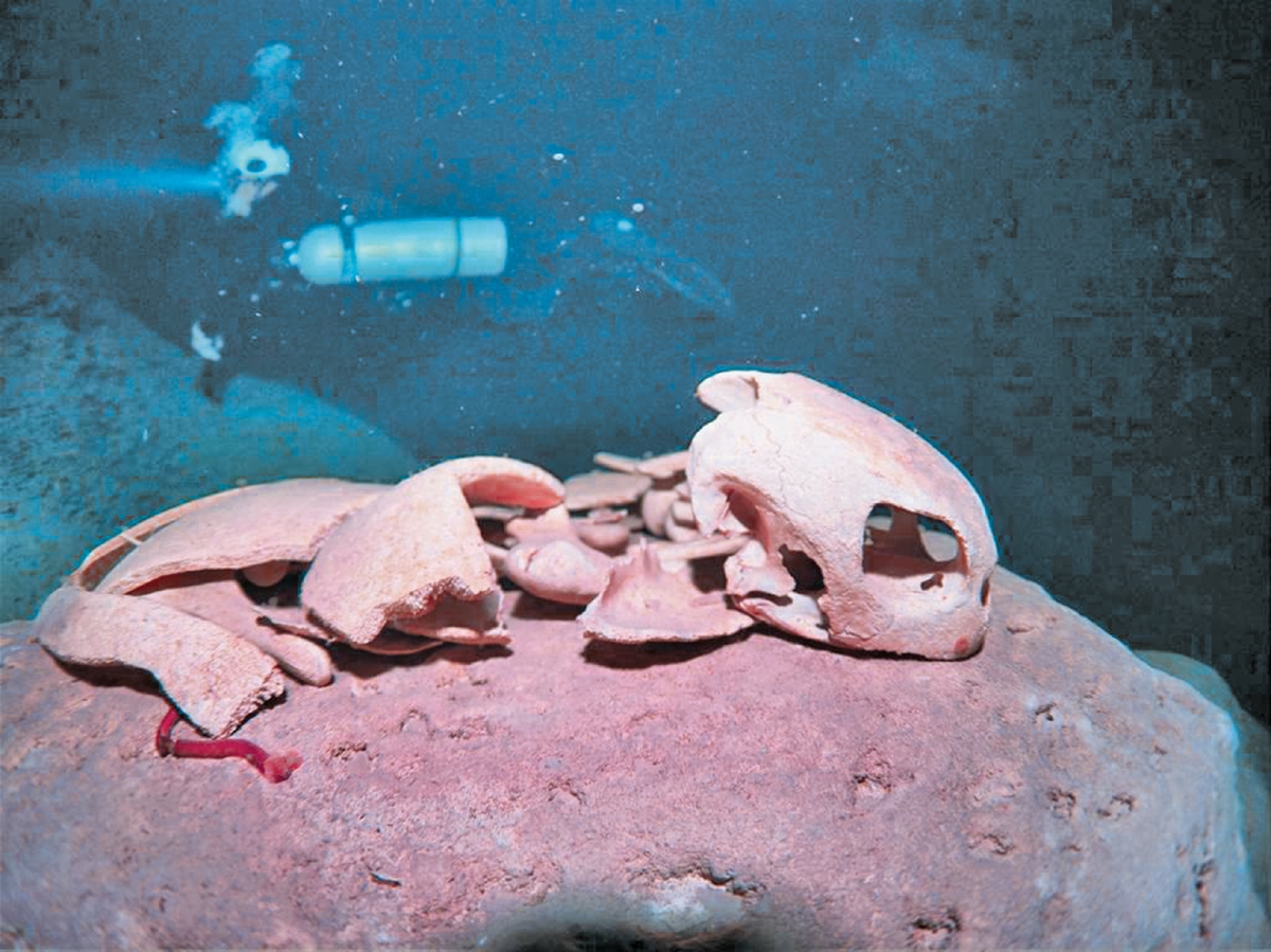 DIIKTIRAF satu-satu gua di bawah laut yang boleh ditemui tulang dan rangka penyu.