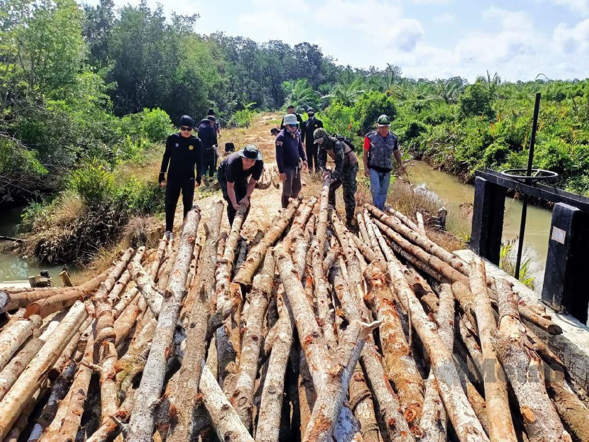 KAYU bakau yang dirampas pihak berkuasa di Hutan Simpan Sungai Sugut, Pulau Jambongan, Beluran. FOTO ihsan PGA