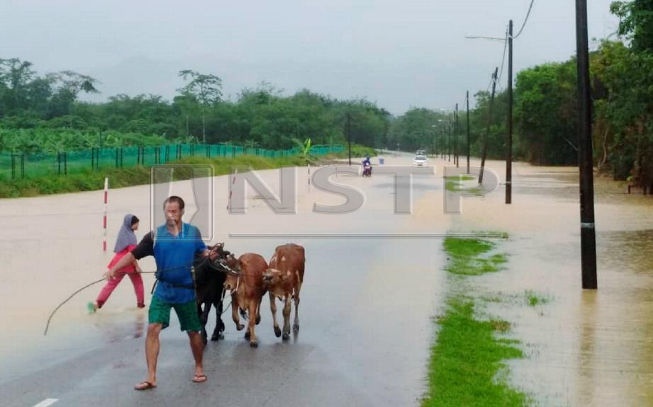 (Gambar fail) Keadaan banjir di Jalan Kampung Seladang, Hulu Setiu ke Kampung Che Long baru-baru ini. FOTO Ihsan Pembaca 