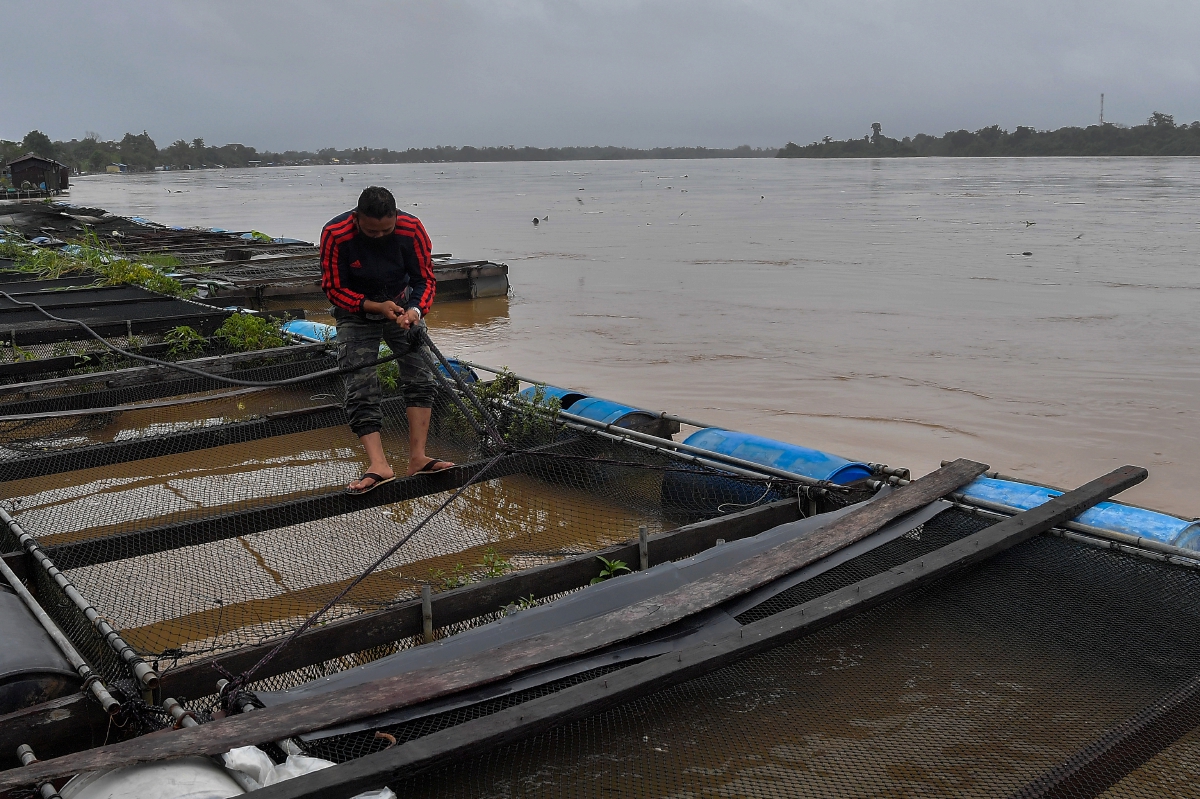 FOTO pada 2 Januari menunjukkan pengusaha sangkar ikan mengetatkan tali yang mengikat sangkar ikannya berikutan keadaan air Sungai Pahang di Kampung Belatung,  Pekan yang semakin meningkat. FOTO BERNAMA 