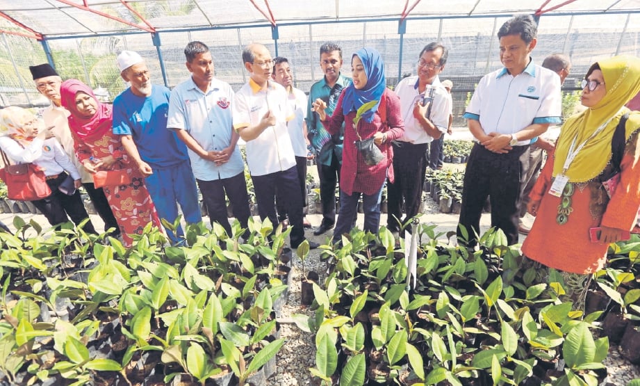PEGAWAI Penyelidik Institut Penyelidikan Perhutanan Malaysia (FRIM) Dr Farah Fazwa Md Ariff Dr Farah (empat dari kanan) menerangkan khasiat herba kacip fatimah.
