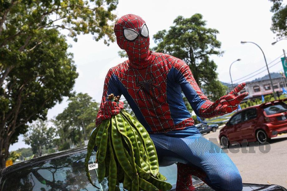 SELVAKUMAR berpakaian kostum Spiderman mengambil kesempatan menjual petai pada hari mengundi PRK Dun Slim di Pekan Slim River. FOTO Hazreen Mohamad