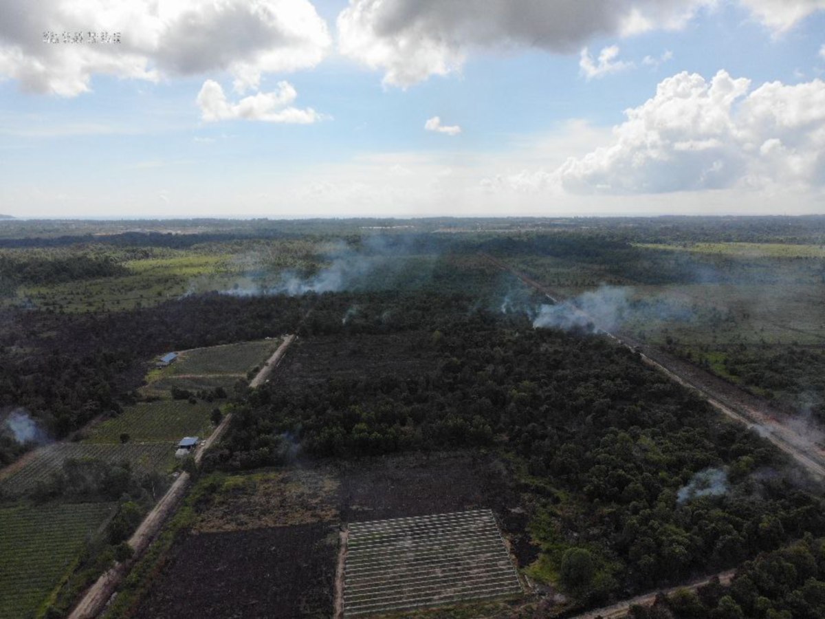 Keadaan hutan tanah gambut yang terbakar di kawasan Jabatan Pertanian Inderapura, Kuantan. FOTO JBPM Pahang