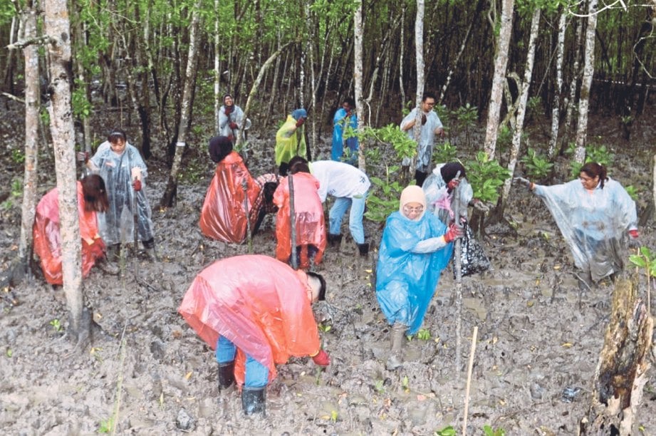 KERJASAMA antara Pahlawan Eco Pasukan Botaneco Garden, Guardian dan Malaysian Nature Society .