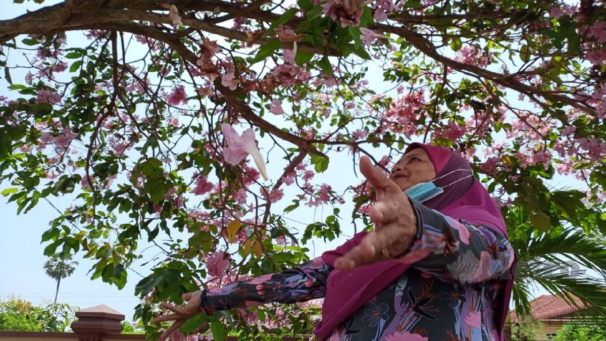 RAHANI Arifin bergambar berlatarbelakangkan deretan pohon sakura. FOTO Nor Amalina Alias 