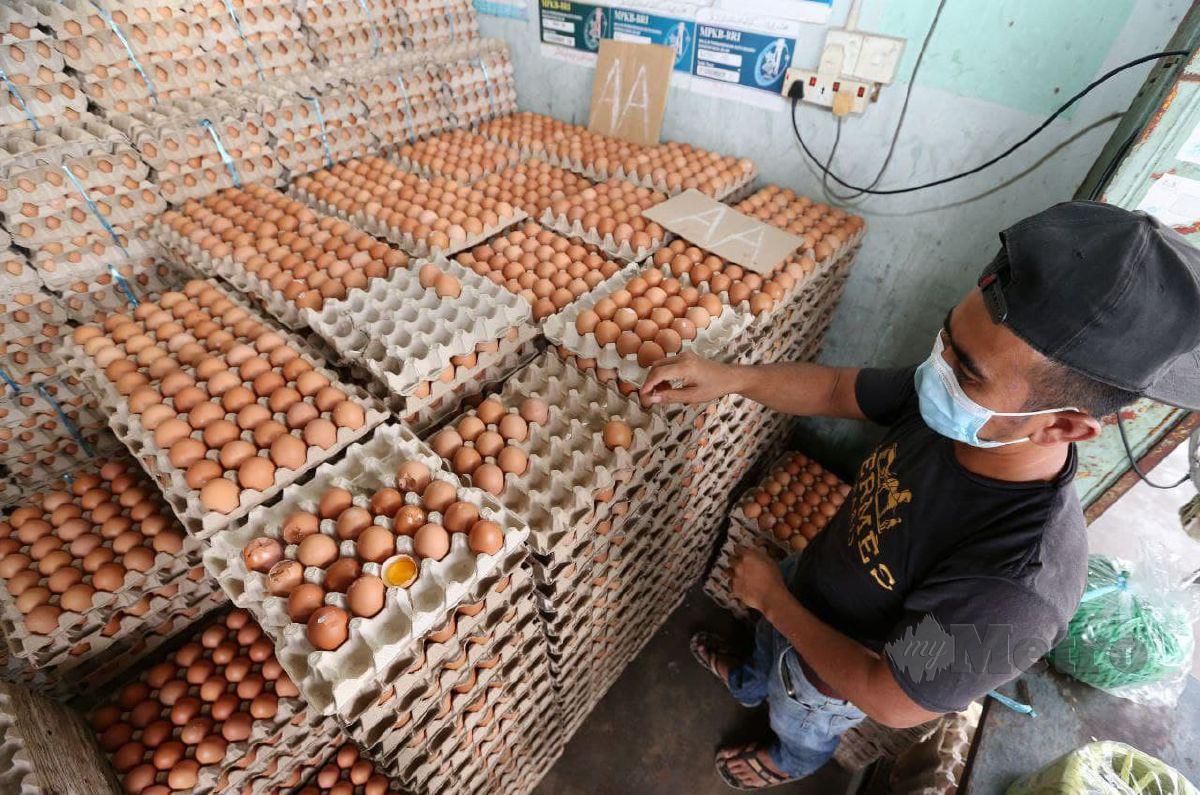 Tinjauan di sebuah premis mendapati harga telur naik di antara 30 hingga 50 sen bagi setiap gred untuk telur 30 biji sejak tiga minggu lalu. FOTO NIK ABDULLAH NIK OMAR