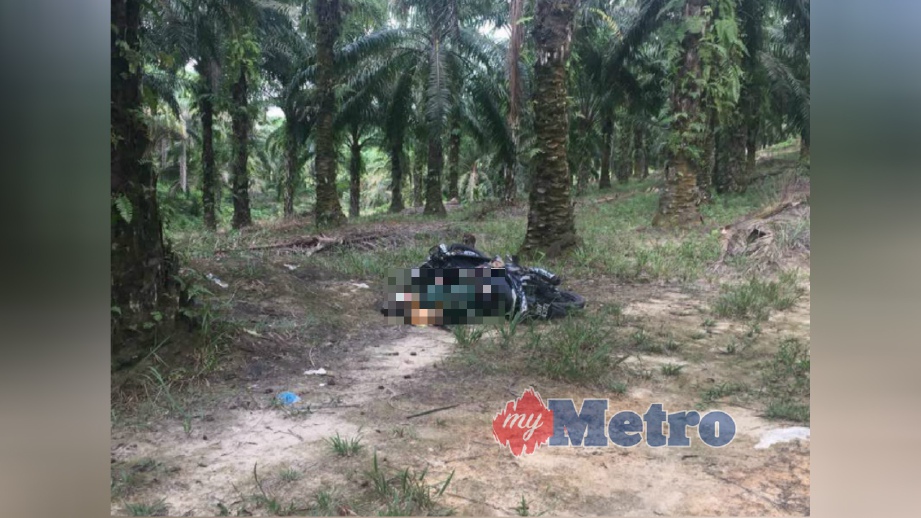 MANGSA ditemui mati dipercayai tertembak diri sendiri dalam kebun kelapa sawit di Kampung Sungai Kerandang, Bukit Tagar, Kuala Kubu Bharu, hari ini. FOTO Ihsan PDRM