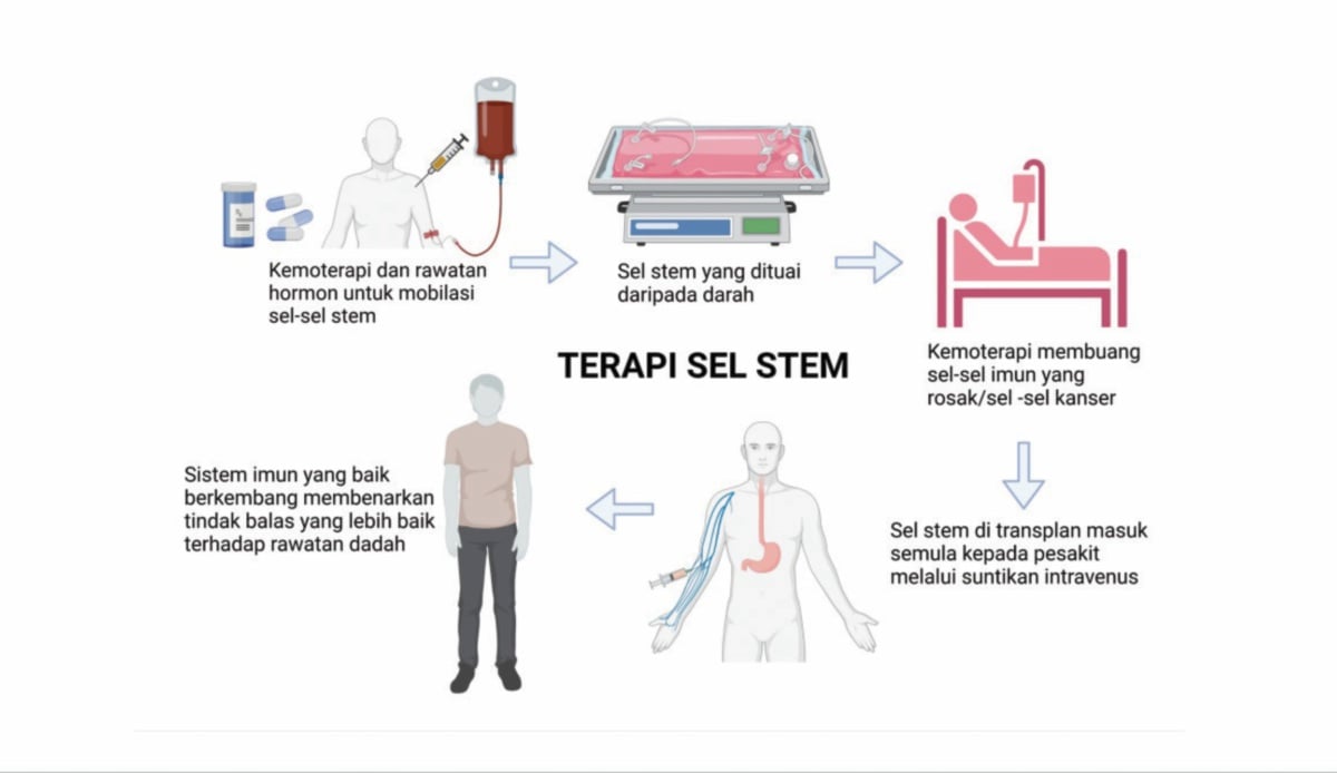 PROSES rawatan menggunakan terapi sel stem.